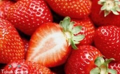 Kokulu Çilek Tohumu (50 Tohum)