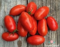 Rio Grande Domates Tohumu (100 Tohum)