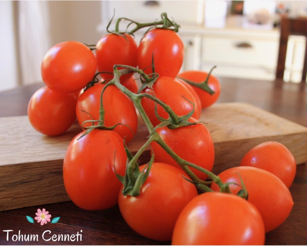 Rio Grande Domates Tohumu (100 Tohum)
