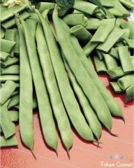 Sırık Ferasetsiz Fasulye Tohumu (25 Tohum)