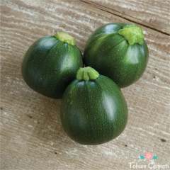 Geleneksel Top Kabak Tohumu (20 Tohum)