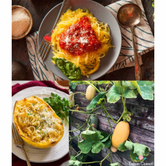 Geleneksel Spagetti Kabak Tohumu (5 Tohum)