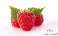 Doğal Pembe Ahududu Tohumu (10 Tohum)