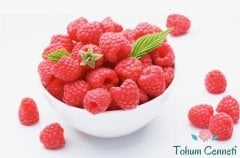 Doğal Pembe Ahududu Tohumu (10 Tohum)