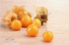 Şifalı Altın Çilek Yer Kirazı Tohumu (25 Tohum)