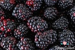 Doğal Tatlı Dikesinsiz Böğürtlen Tohumu (10 Tohum)