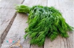 Derem Dereotu Tohumu (100 Tohum)