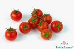 Çeri Pinpon Domates Tohumu (50 Tohum)