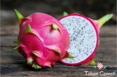 Doğal Beyaz Ejder Meyvesi (Pitaya) Tohumu (10 Tohum)