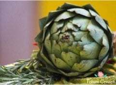 Yeşil Enginar Tohumu (5 Tohum)