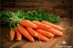 Nantes Havuç Tohumu (200 Tohum)