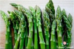 Kuşkonmaz Tohumu (5 Tohum)