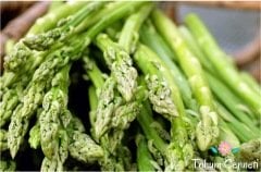 Kuşkonmaz Tohumu (5 Tohum)