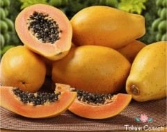 Papaya(Ağaç Kavunu) Tohumu (5 Tohum)