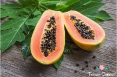 Papaya(Ağaç Kavunu) Tohumu (5 Tohum)