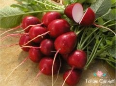 Kırmızı Fındık Turp Tohumu (100 Tohum)