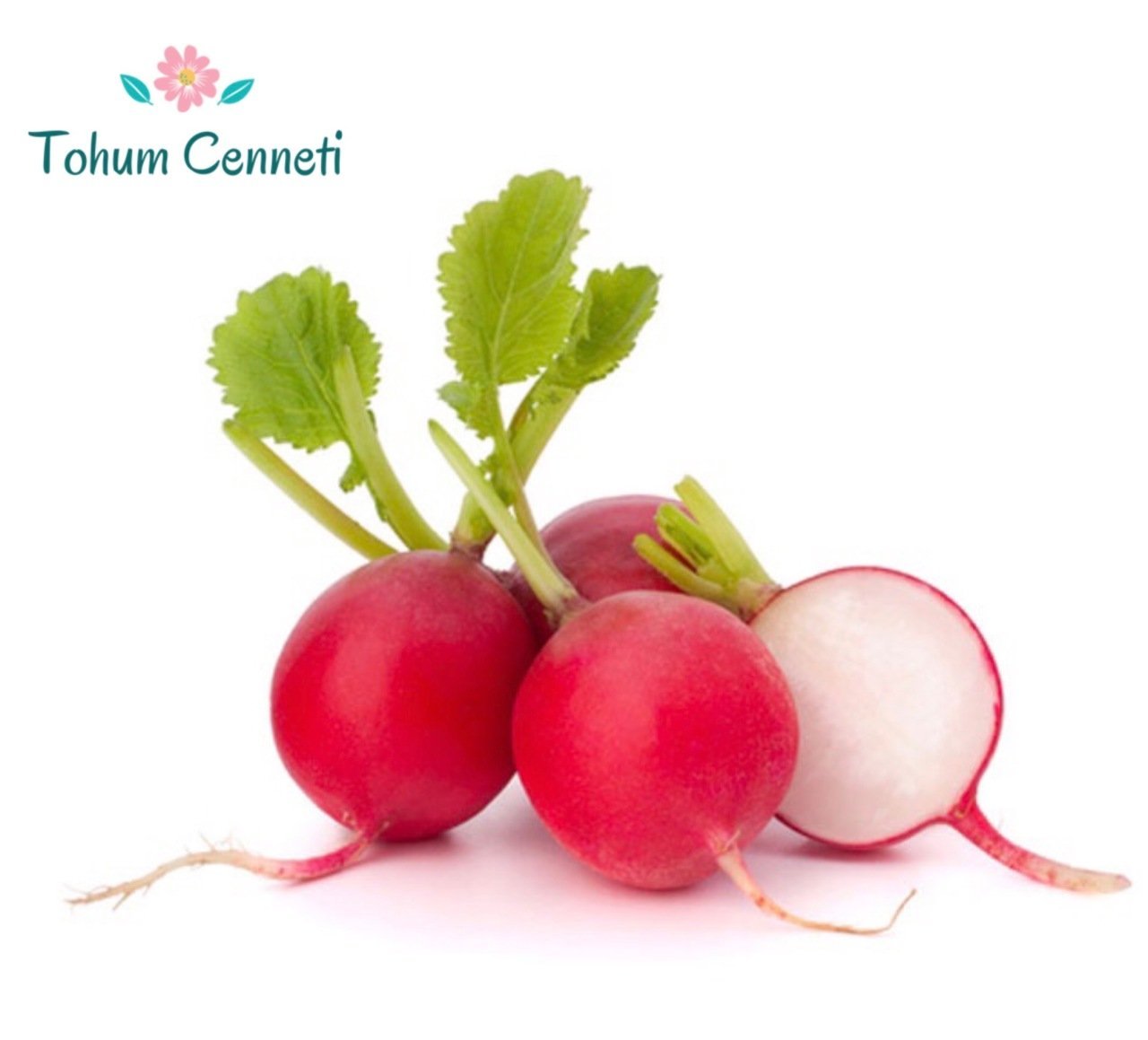 Kırmızı Fındık Turp Tohumu (100 Tohum)