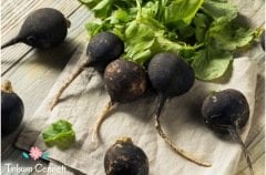 Siyah Turp Tohumu (100 Tohum)