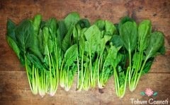 Geniş Yaprak Ispanak Tohumu (100 Tohum)