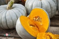 Sweet Gourd Balkabağı Tohumu (10 Tohum)