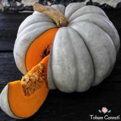 Sweet Gourd Balkabağı Tohumu (10 Tohum)