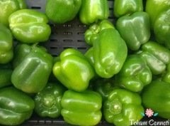 Kandil Dolmalık Biber Tohumu (100 Tohum)