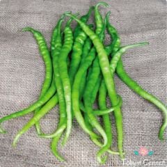 Tatlı Kıl Biber Tohumu (50 Tohum)