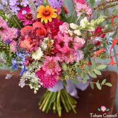 Karışık Kesme Çiçekler Tohumu (100 Tohum)