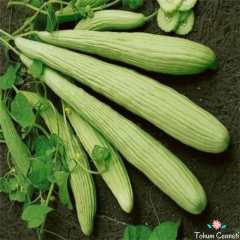 Geleneksel Acur Tohumu (50 Tohum)