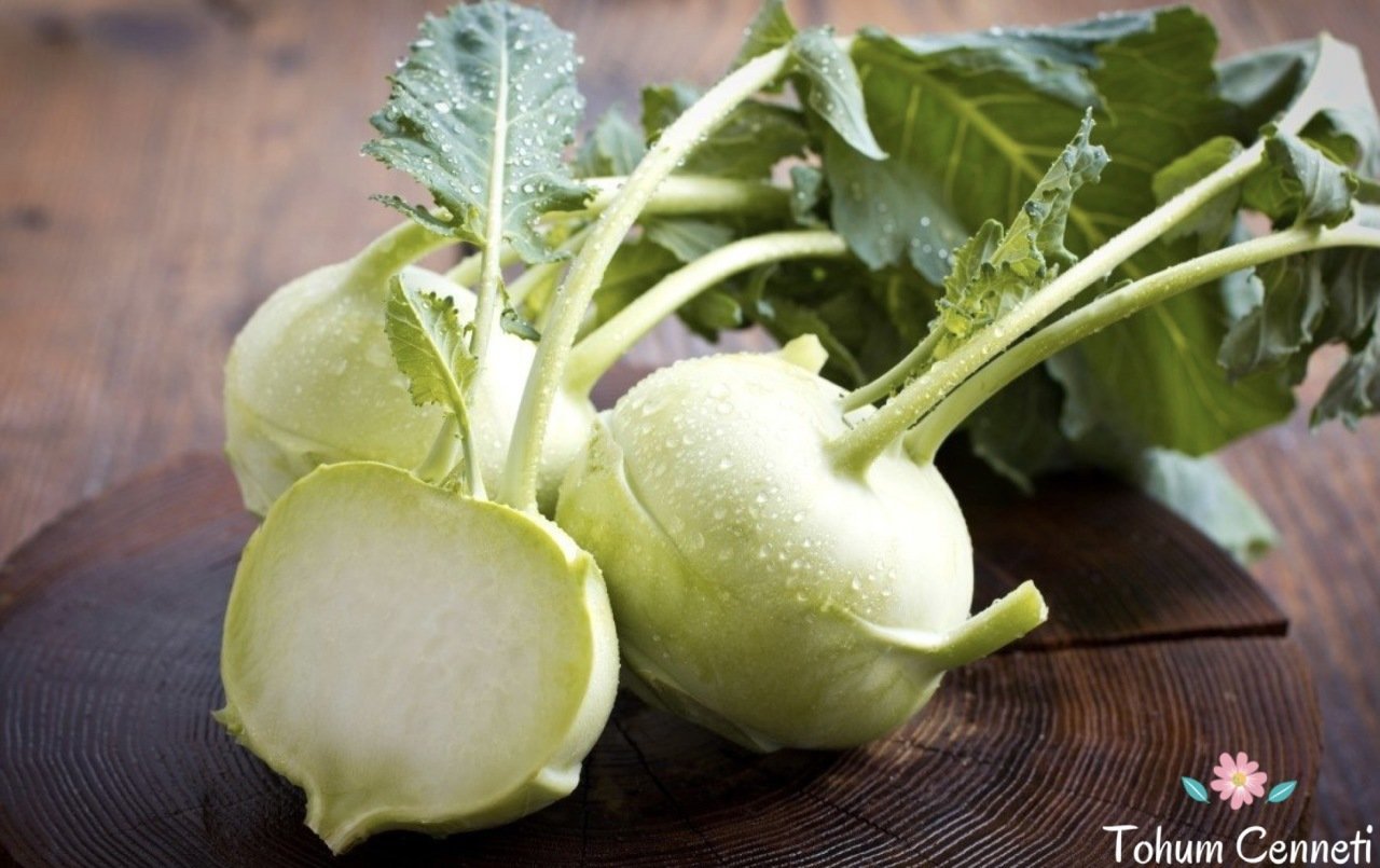Doğal Beyaz Kohlrabi Alabaş Tohumu (50 Tohum)
