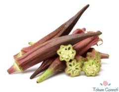 Kınalı Bamya Tohumu (25 Tohum)