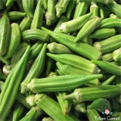 Sultani Bamya Tohumu (25 Tohum)