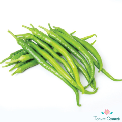 Tatlı Sivri Çetinel Biber Tohumu (50 Tohum)