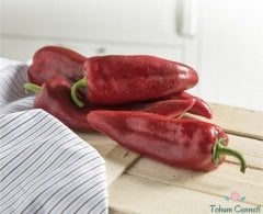 Yerli Etli Kırmızı Kapya Biber Tohumu (100 Tohum)