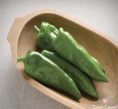 Doğal Pat Biber Tohumu (50 Tohum)