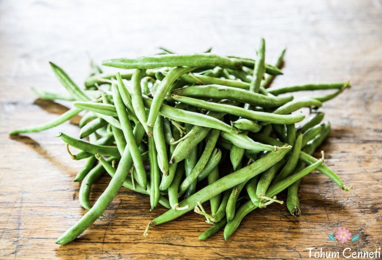 Doğal Börülce Tohumu (25 Tohum)