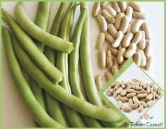 Oturak Atlantis Fasulye Tohumu (25 Tohum)