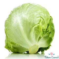 Iceberg Göbek Marul Tohumu (100 Tohum)