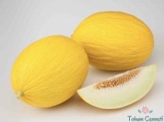 Geleneksel Sarı Kış Kavunu Tohumu (25 Tohum)