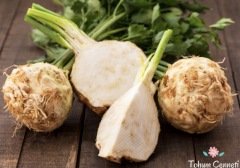 Geleneksel Kök Kereviz Tohumu (1000 Tohum)