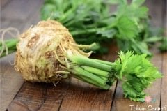 Geleneksel Kök Kereviz Tohumu (1000 Tohum)