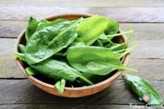 Kuzu Kulağı Tohumu (100 Tohum)