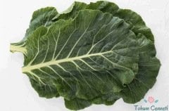 Geleneksel Kara Lahana Tohumu (100 Tohum)