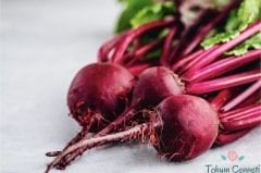 Geleneksel Kırmızı Pancar Tohumu (50 Tohum)