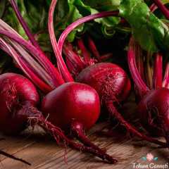 Geleneksel Kırmızı Pancar Tohumu (50 Tohum)