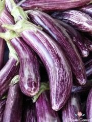 Geleneksel Çizgili Patlıcan Tohumu (100 Tohum)