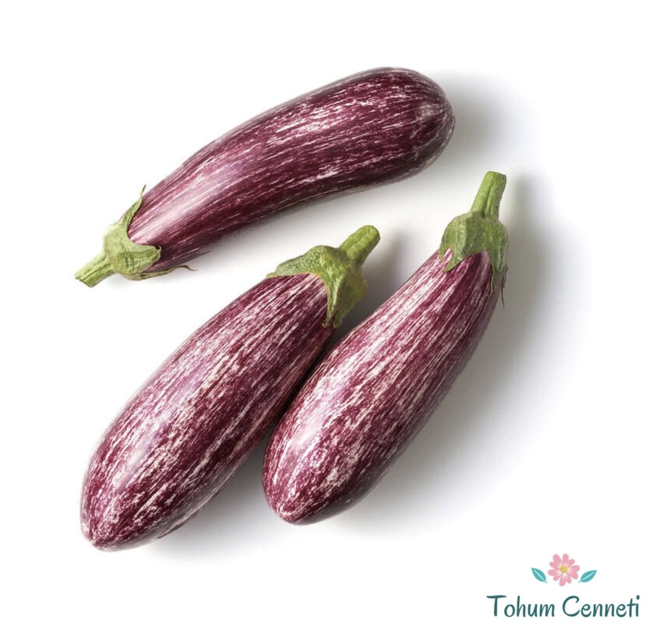 Geleneksel Çizgili Patlıcan Tohumu (100 Tohum)