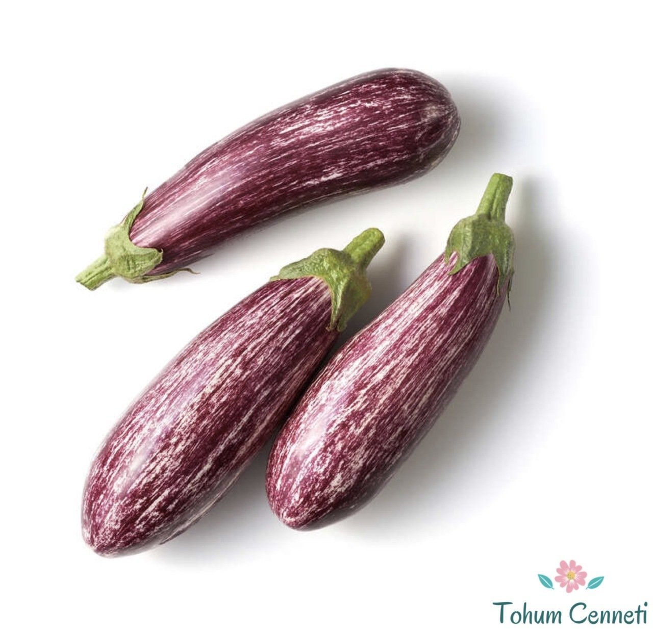 Geleneksel Çizgili Patlıcan Tohumu (100 Tohum)