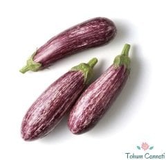 Geleneksel Çizgili Patlıcan Tohumu (100 Tohum)