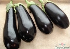 Halep Karası Patlıcan Tohumu (500 Tohum)